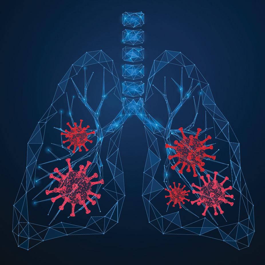 Covid Data Lung Image